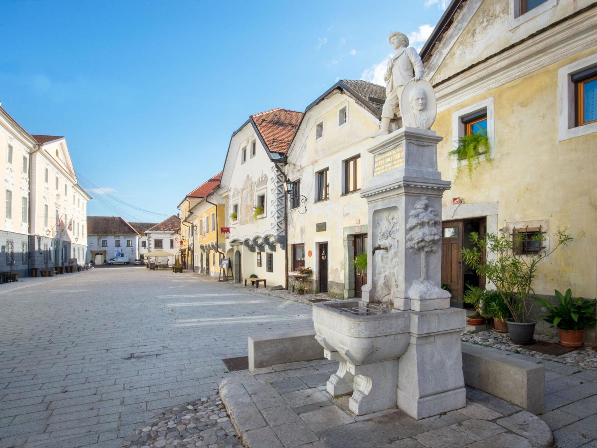 Art House Radovljica Appartement Buitenkant foto